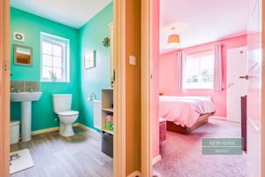 Photo 11- click for photo gallery